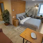 Al Casello 5* Ταρβίζιο